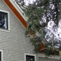 Can you replace vinyl siding with wood?